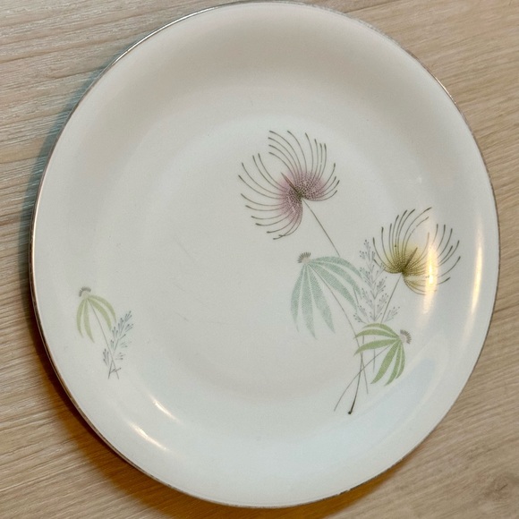 Vintage Bavaria Tirschenreuth Plate – White w/ Floral Design, Silver Rim, Rare - Picture 10 of 16